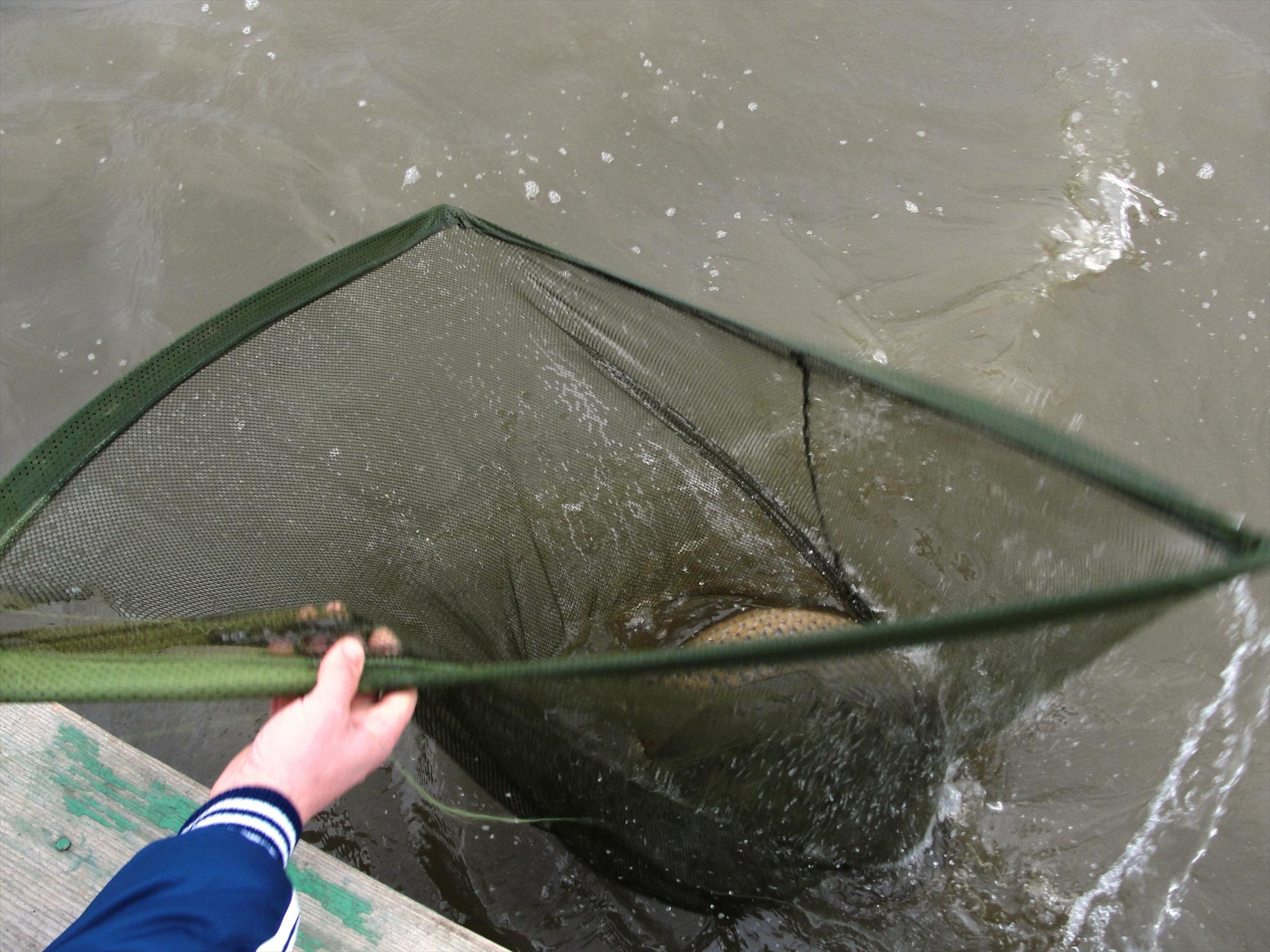 de la A la Z - dsc09437.JPG